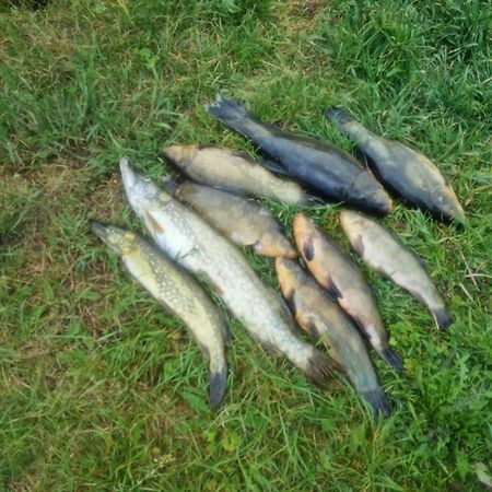 米亚斯特科Eko-Fish别墅 外观 照片