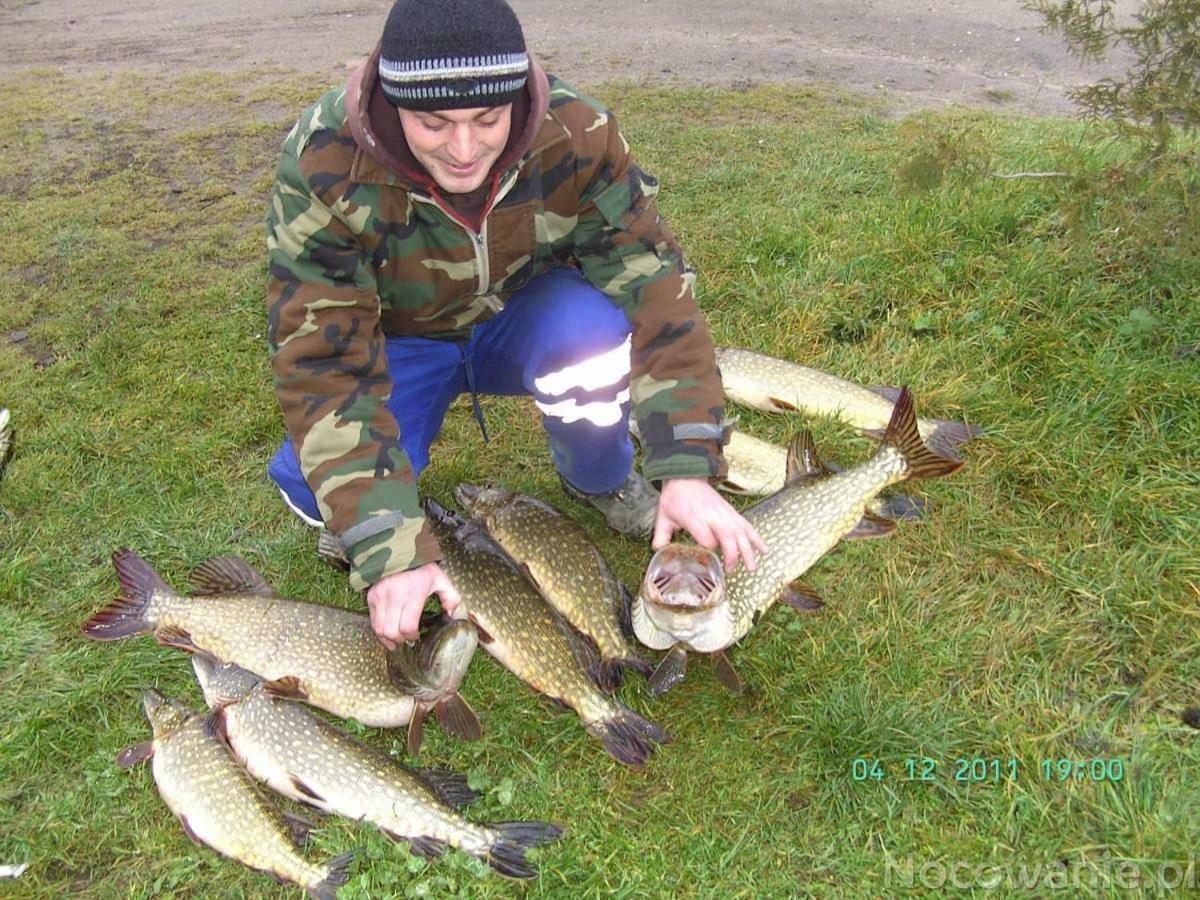 米亚斯特科Eko-Fish别墅 外观 照片